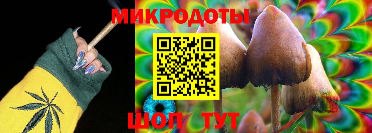 Галлюциногенные грибы Psilocybine cubensis  Вход с VPN  Кимовск 